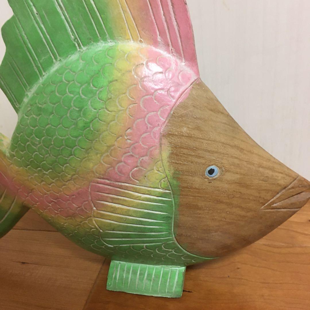 カラフルな熱帯魚　心がなごみます