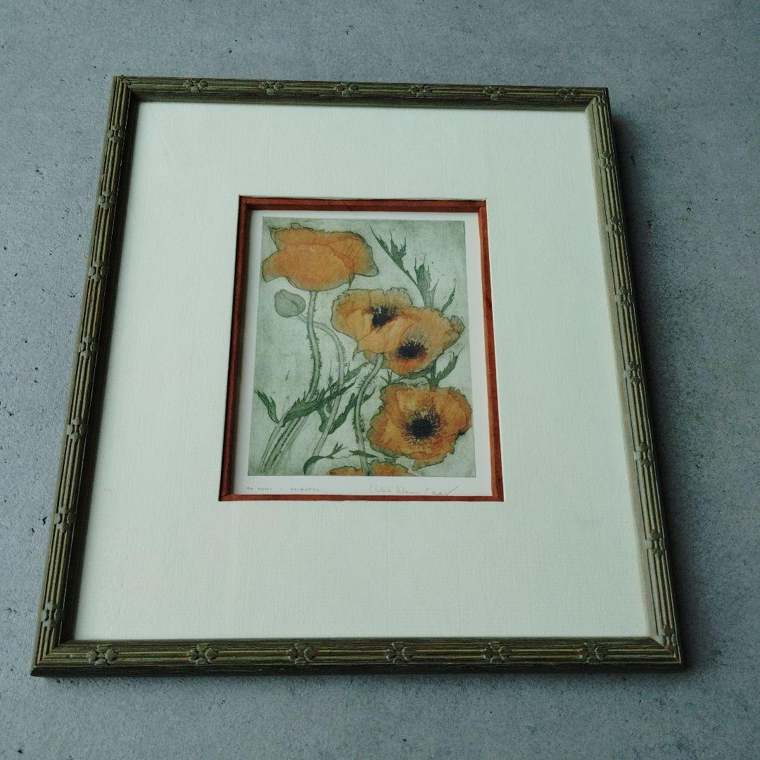 ボタニカルアート　植物画　ポピー　英国　イギリス　絵画　額　木製フレーム