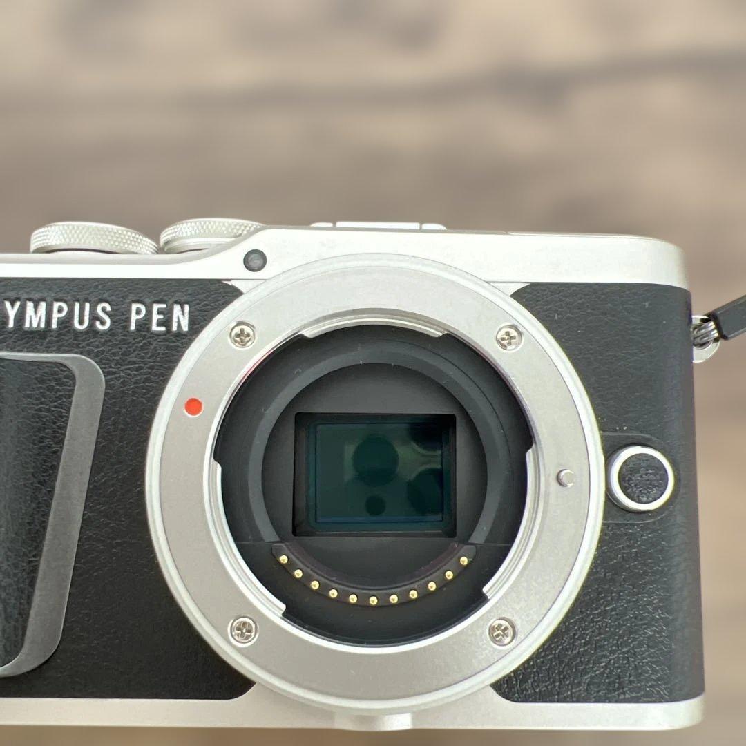 261189OLYMPUS ミラーレス一眼 PEN E-PL9 ボディー