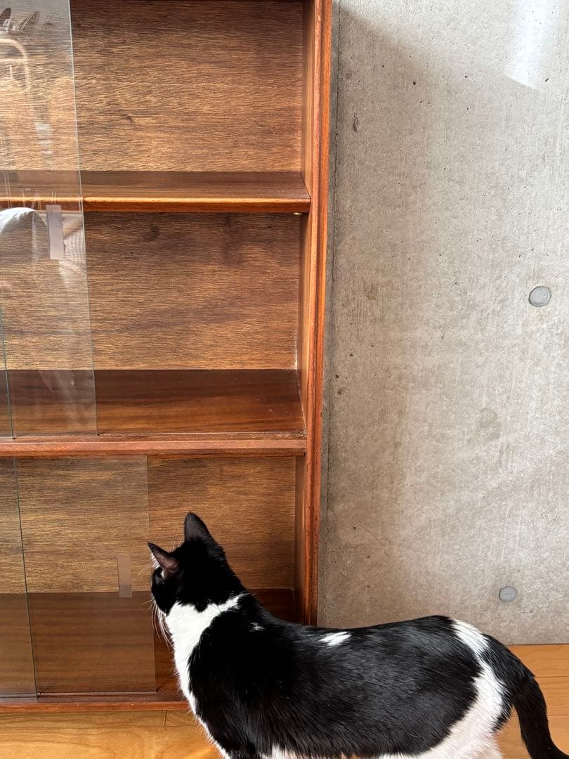 ヴィンテージ　ガラスケース　イギリス製食器棚 本棚