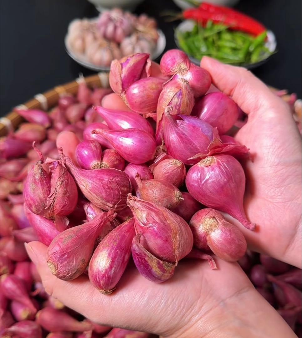 タイ生シャロット(Shallotホムデンお料理用お得5kg