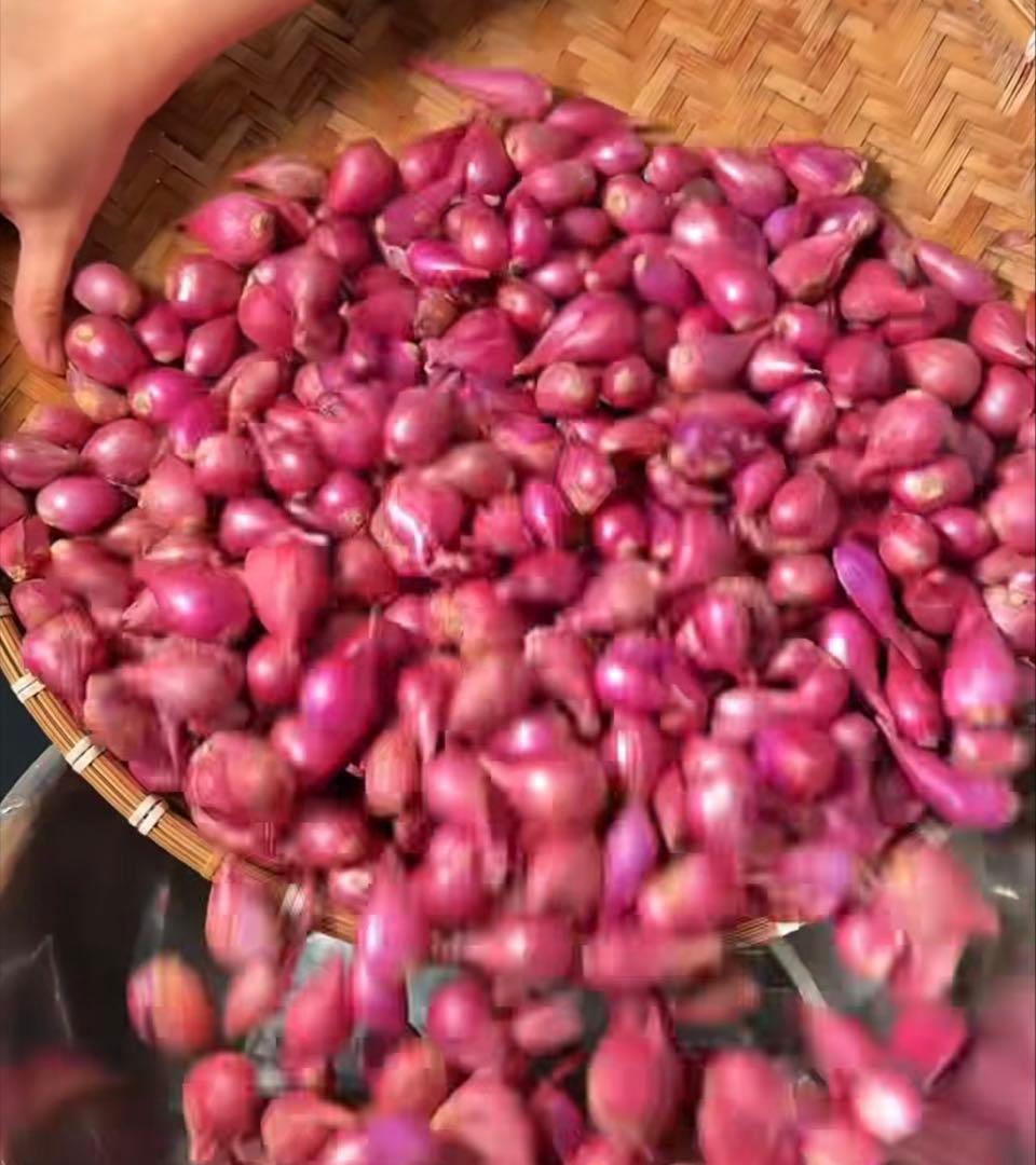 タイ生シャロット(Shallotホムデンお料理用お得5kg