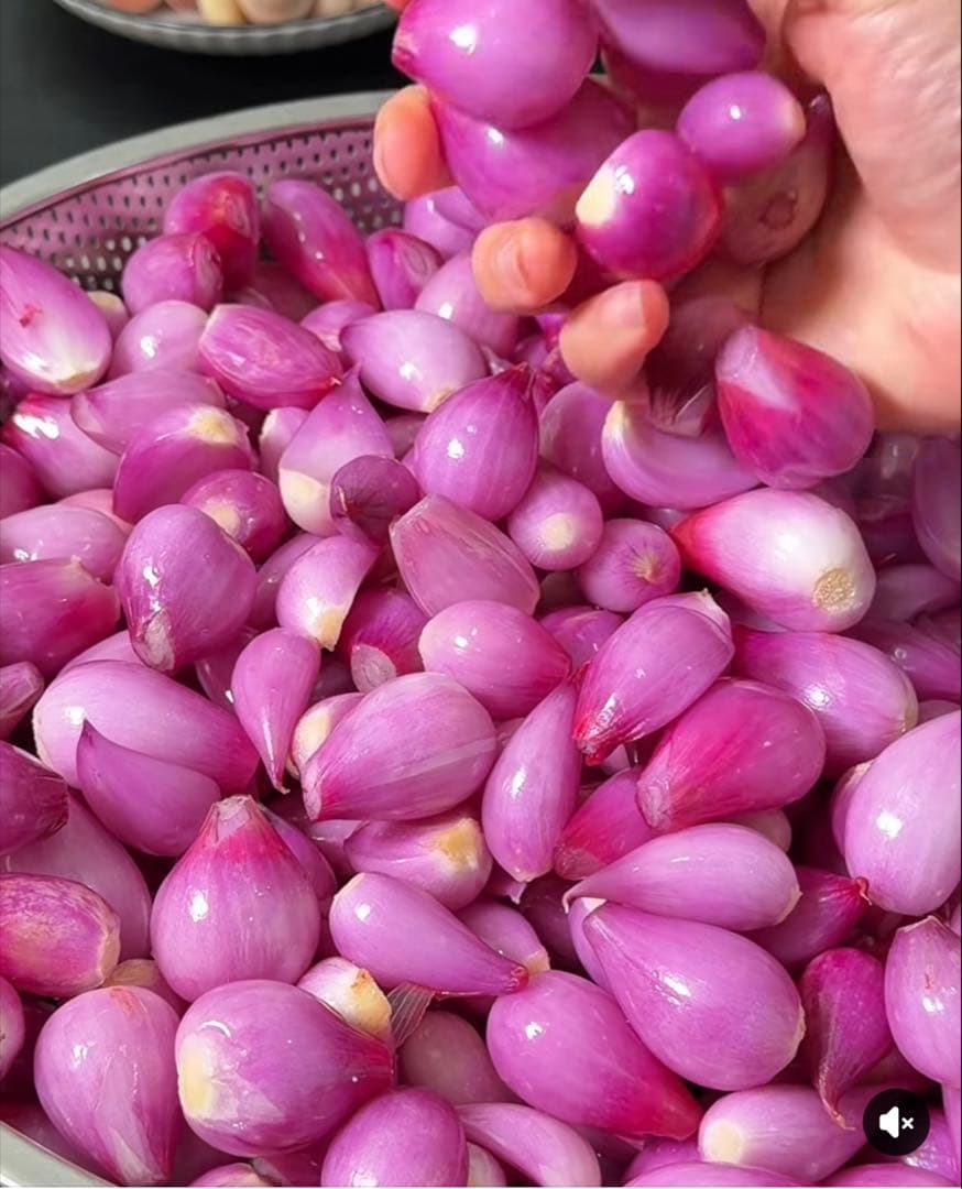 タイ生シャロット(Shallotホムデンお料理用お得5kg