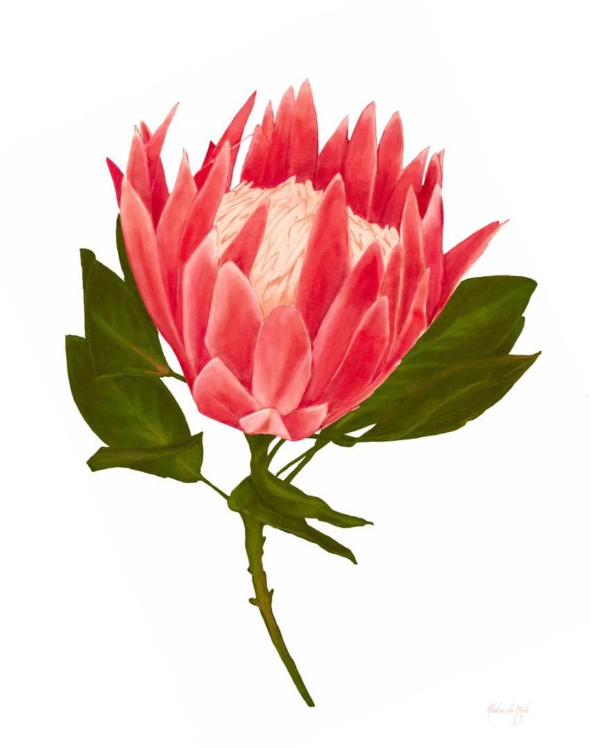 アロハデメレALOHA DE MELE 『K P』ハワイ絵画アート