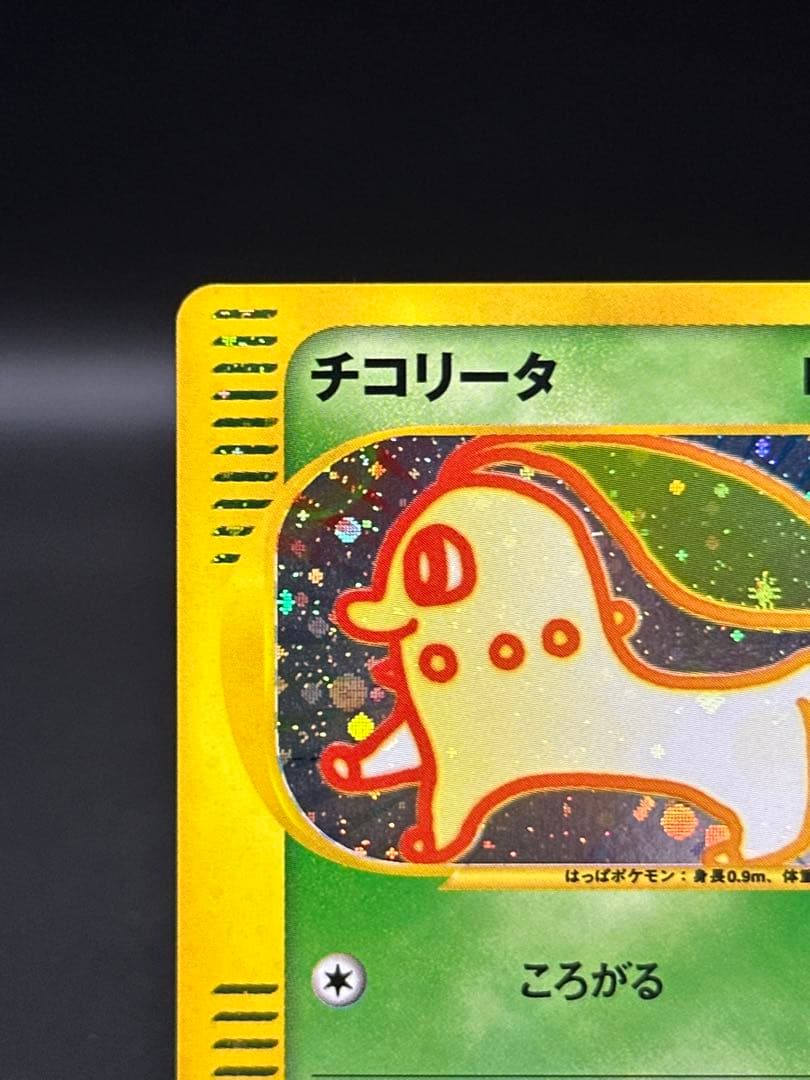 チコリータ　カードe