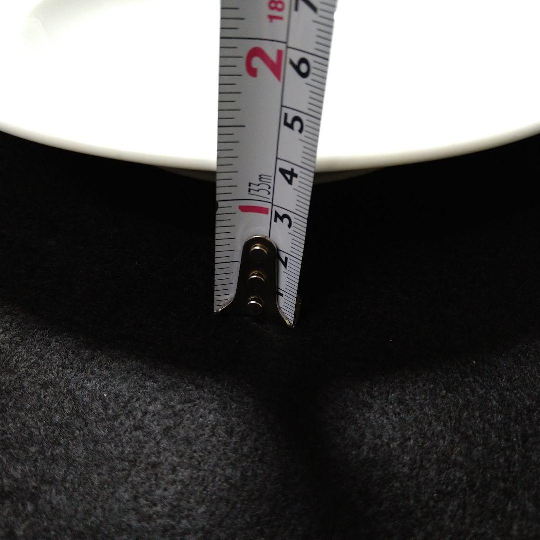 PILLIVUYT フランス製 平皿 2枚セット