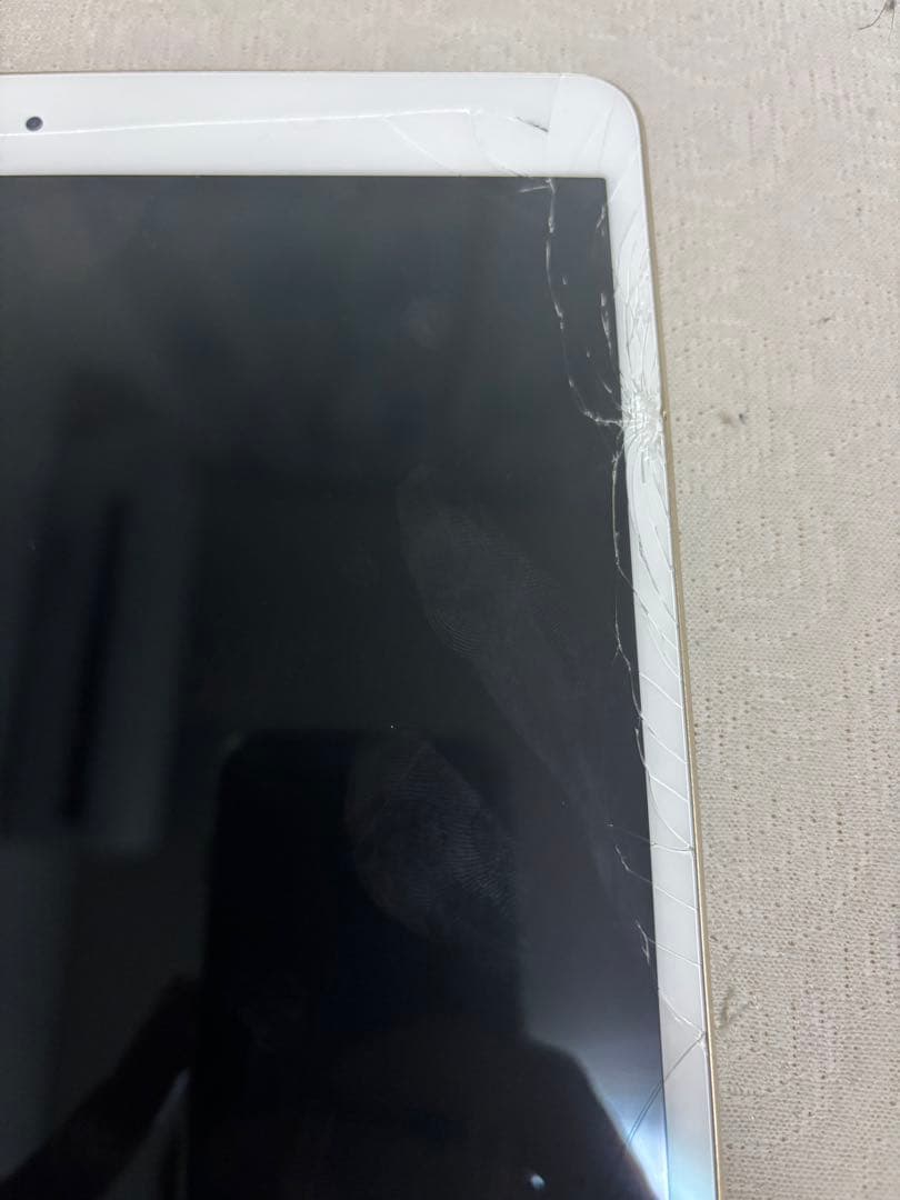 細*︎様 Apple iPad Pro (10.5インチ) 256GB バッテリ