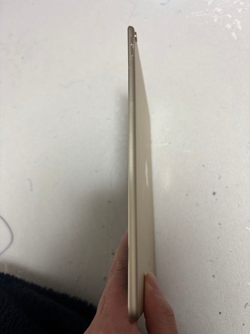 細*︎様 Apple iPad Pro (10.5インチ) 256GB バッテリ