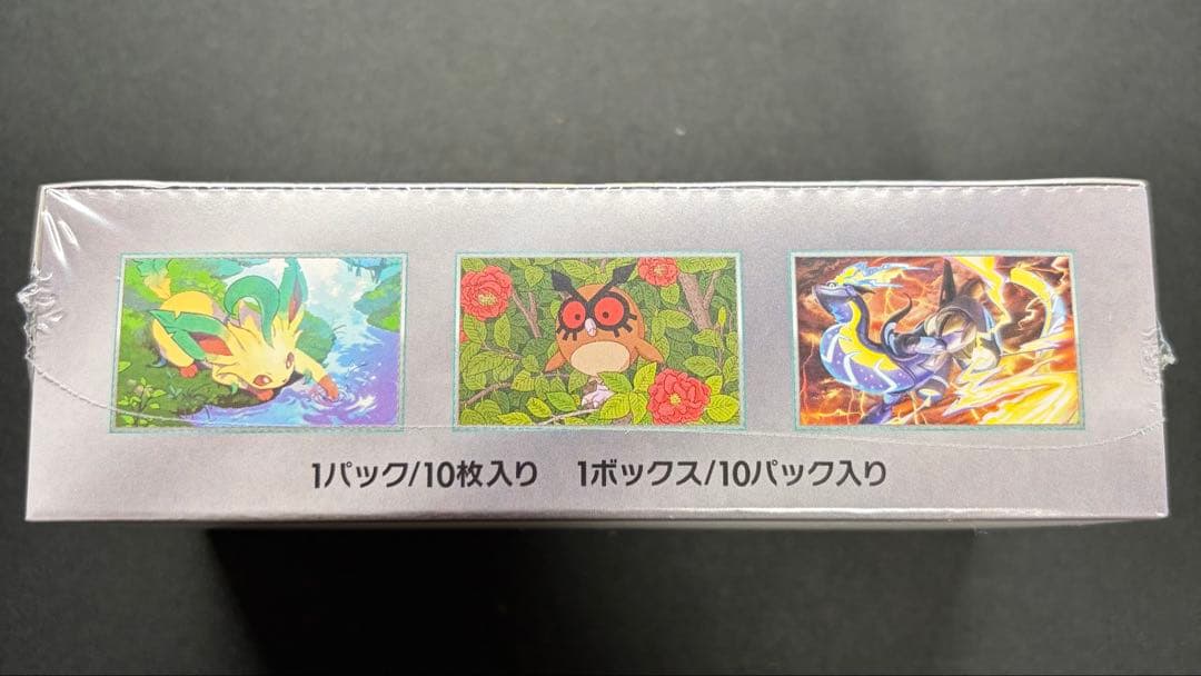 ポケモンカード テラスタルフェス インフェルノX ニンジャスピナー シュリンク付