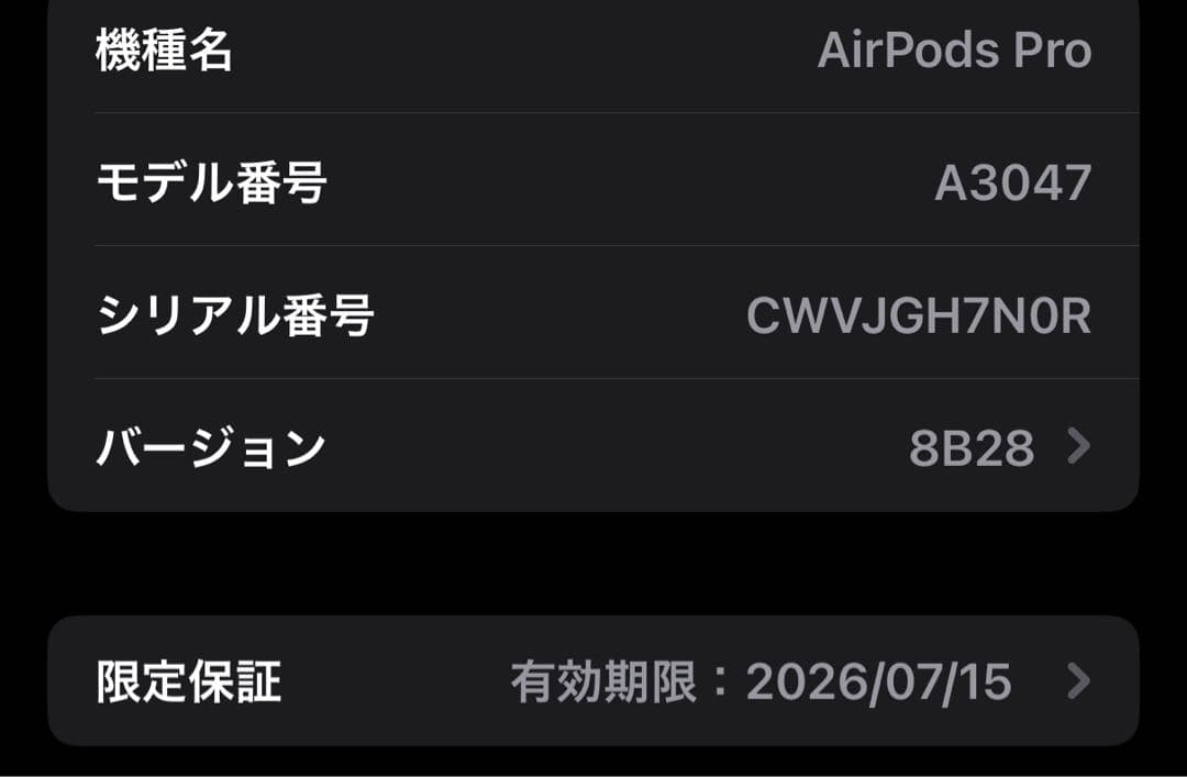 AirPods pro2本体 充電ケース・Cケーブル付き