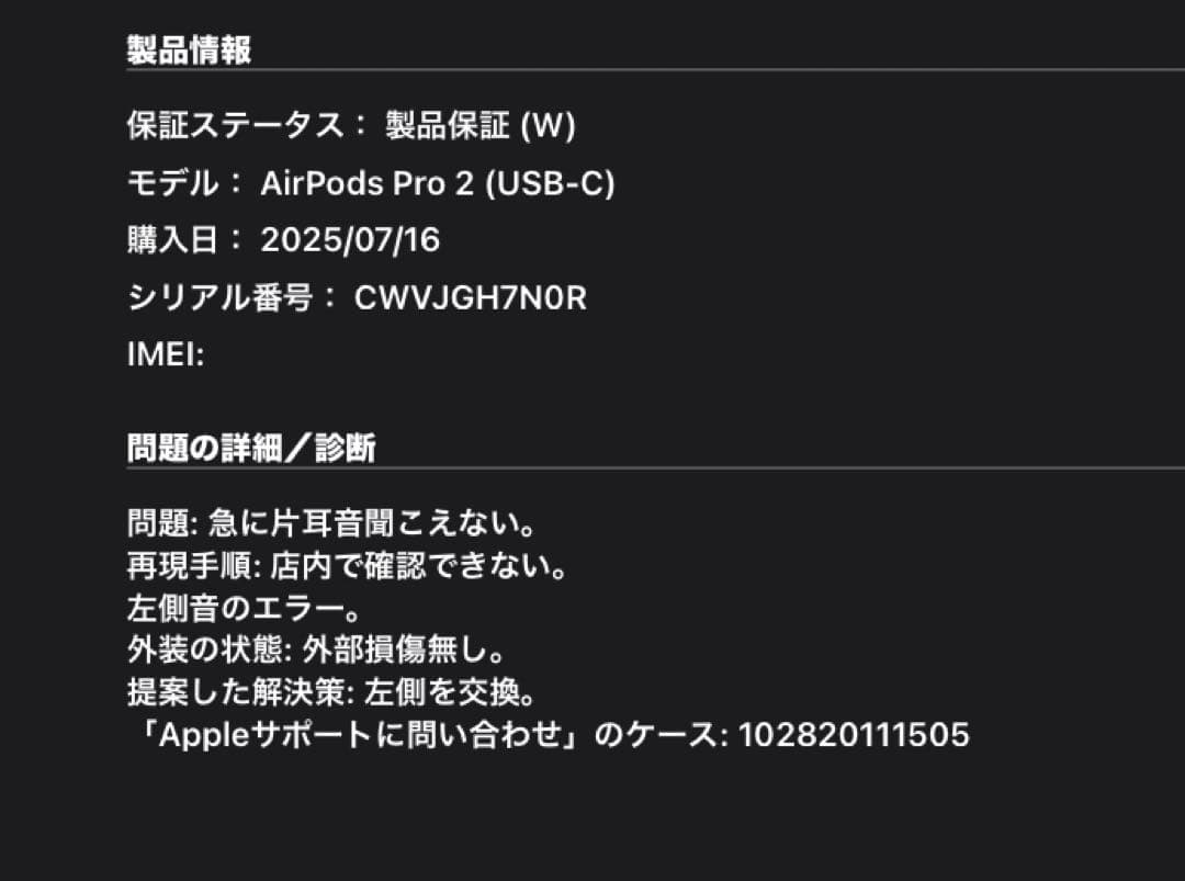 AirPods pro2本体 充電ケース・Cケーブル付き