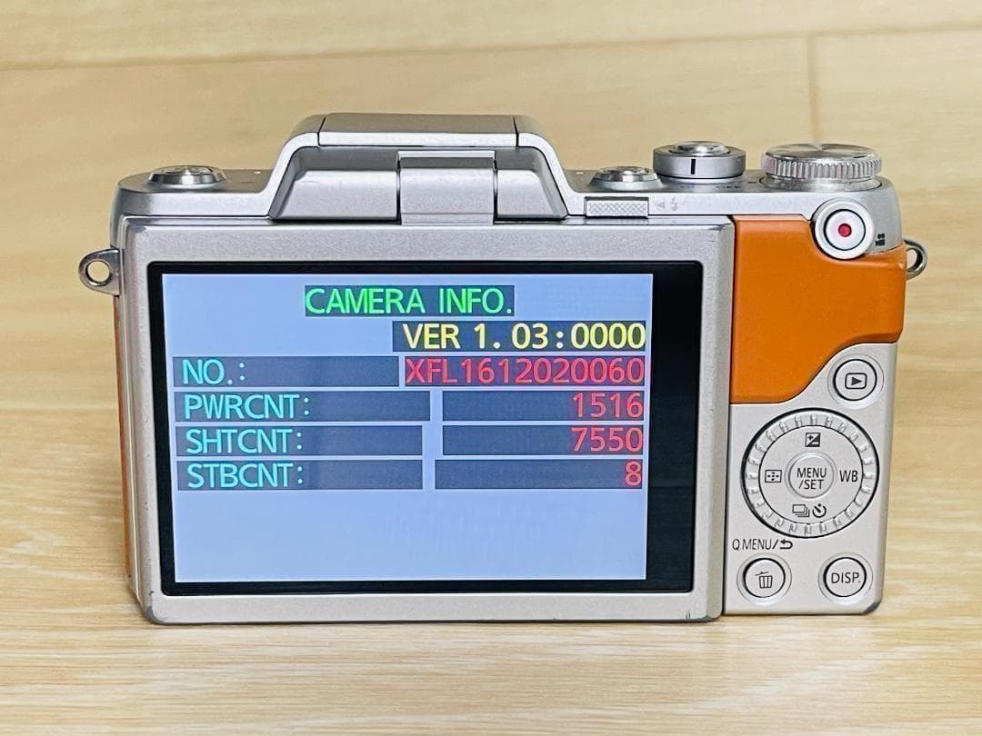 【ショット数7,550回】 美品 Panasonic LUMIX DMC-GF7