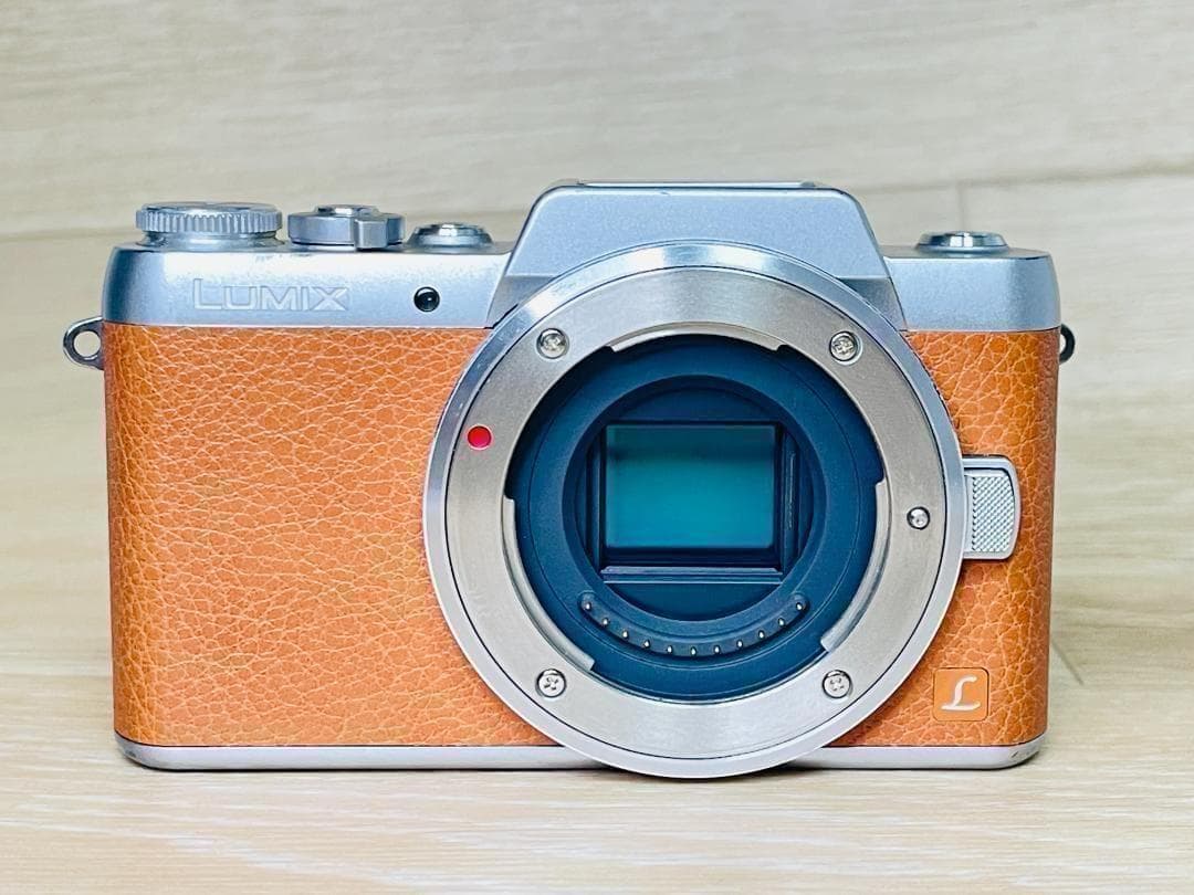 【ショット数7,550回】 美品 Panasonic LUMIX DMC-GF7
