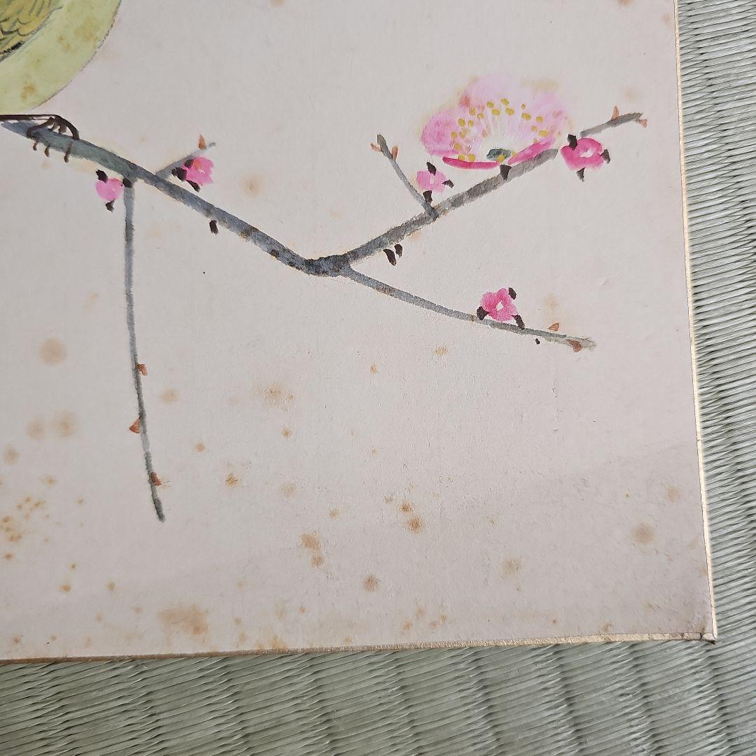 昭和レトロ/1950年代物】色紙 直筆 鶯谷 梅 鮎 桜桃 翠祥? 二枚