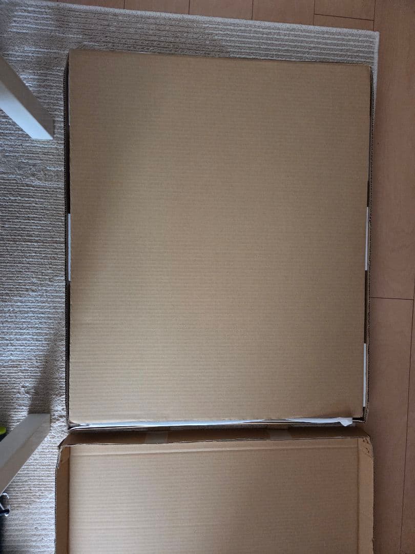 【限定35枚・1桁番】カントク 版画「春の始まり」アールビバン