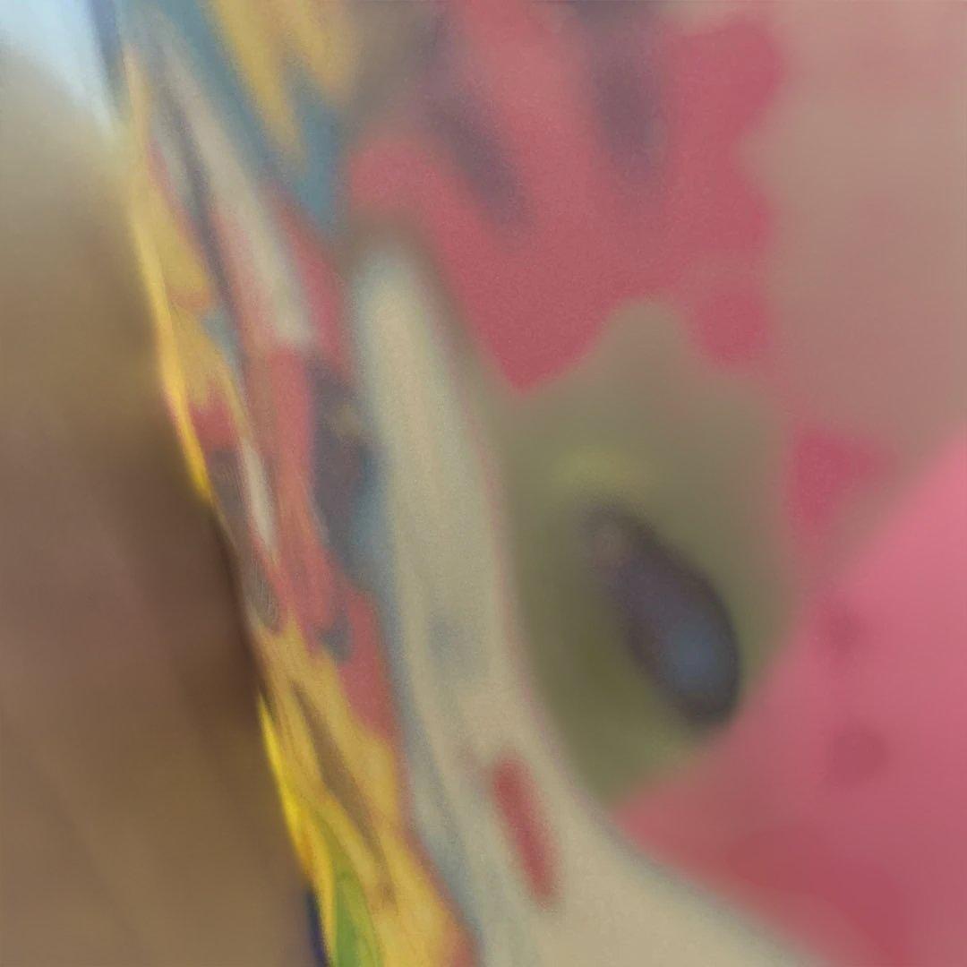 リサフランク バッグ 猫 ひまわり 90ヴィンテージ レアオリジナル