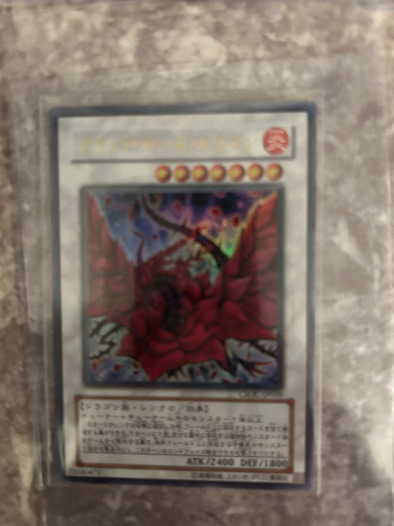 ブラックローズ・ドラゴン　ホロ　ウルトラ