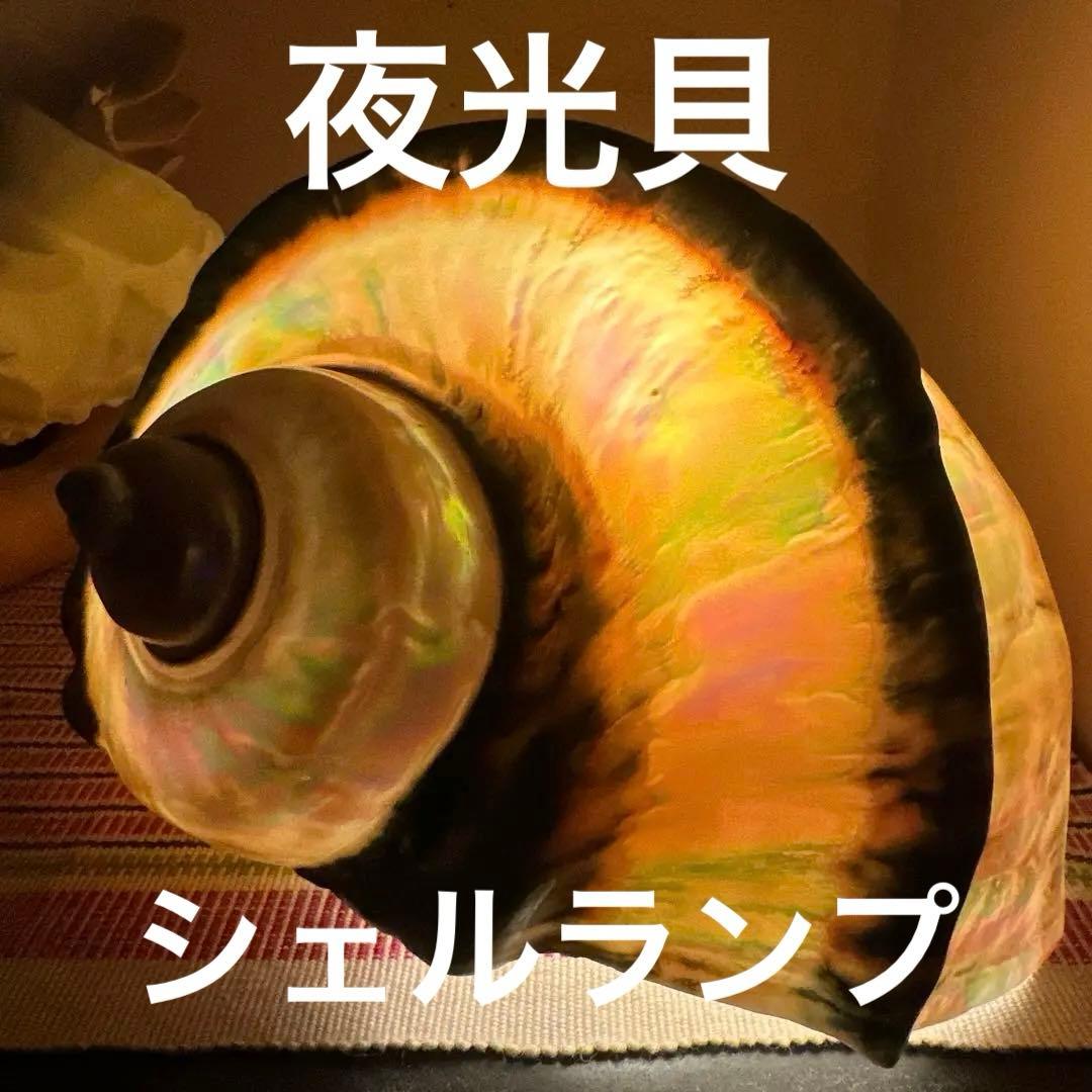 大型　夜光貝　真珠磨き　インテリア　　　　　　飾り物　　アクセサリー　オブジェ