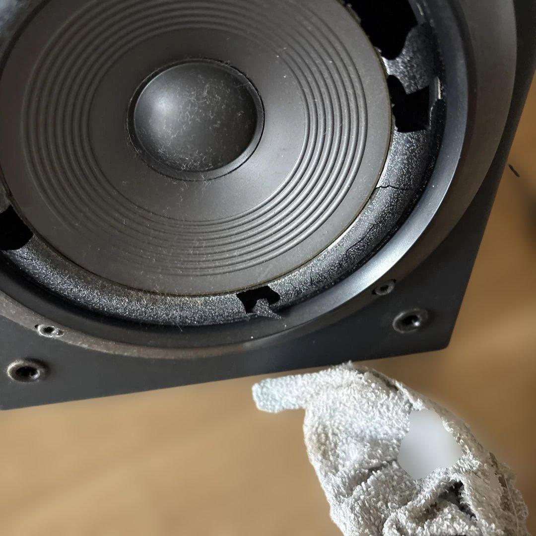 Pioneer SELFIE S50 パイオニア セルフィー　90's