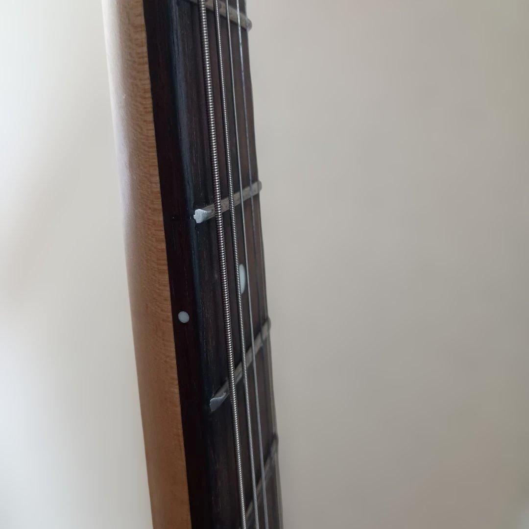 BUSKER'S ストラト