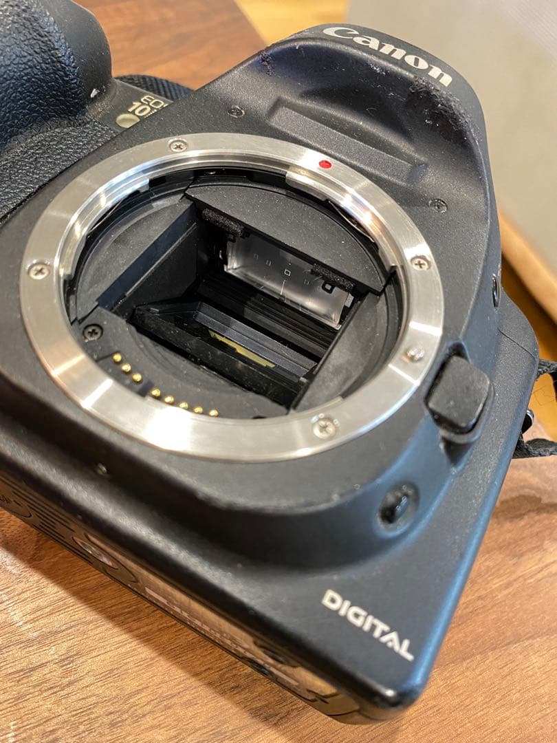 Canon 10D デジタル一眼　タムロン　100-300㍉　レンズ付 動作品