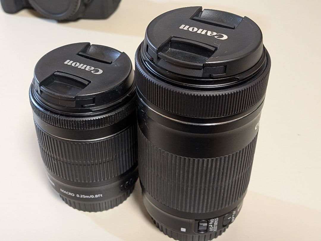 Canon デジタル一眼レフカメラ EOS 8000D ダブルズームキット
