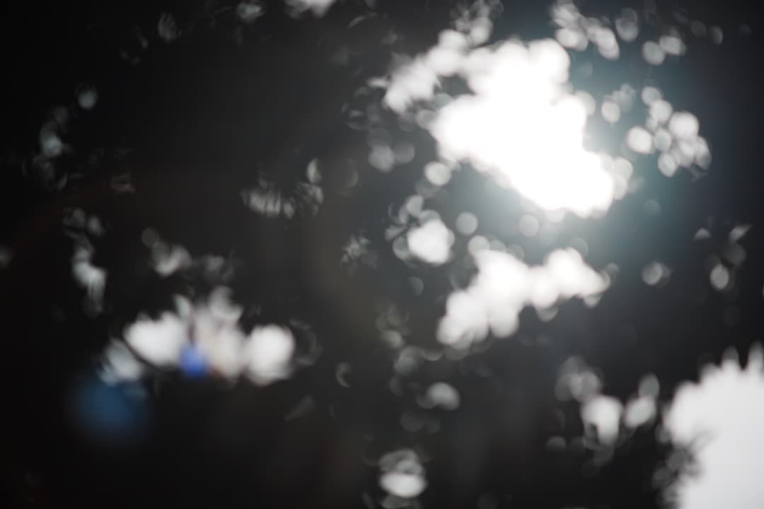 【極美品】ミノルタ MC TELE ROKKOR 135mm F2.8 212