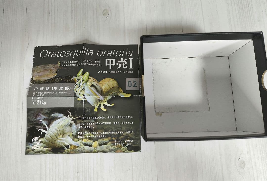 【動物の惑星】スーパーレア★第6弾/長江第1弾/ホウシャガメ!! フィギュア