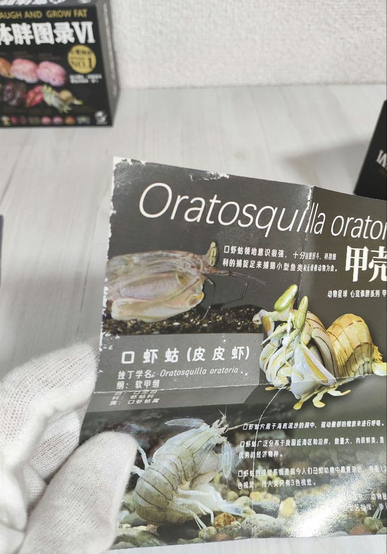 【動物の惑星】スーパーレア★第6弾/長江第1弾/ホウシャガメ!! フィギュア