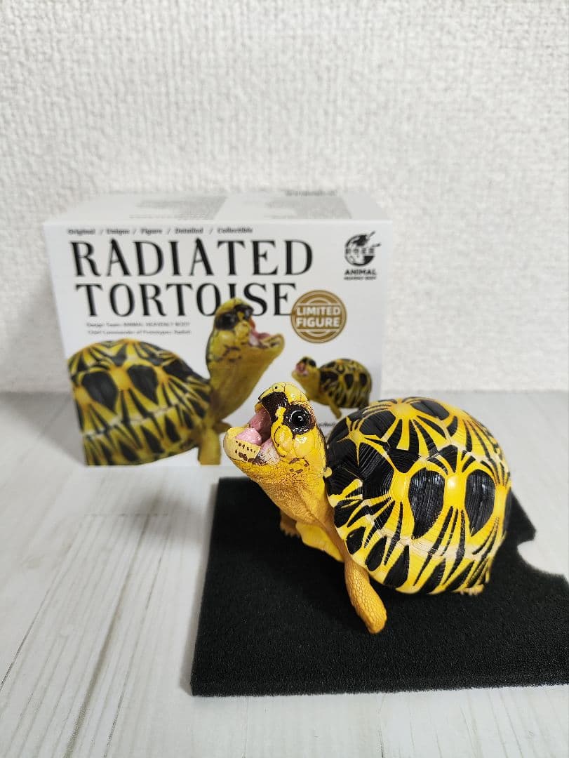 【動物の惑星】スーパーレア★第6弾/長江第1弾/ホウシャガメ!! フィギュア