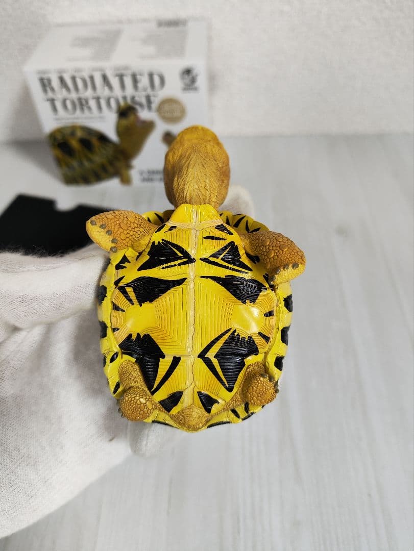 【動物の惑星】スーパーレア★第6弾/長江第1弾/ホウシャガメ!! フィギュア