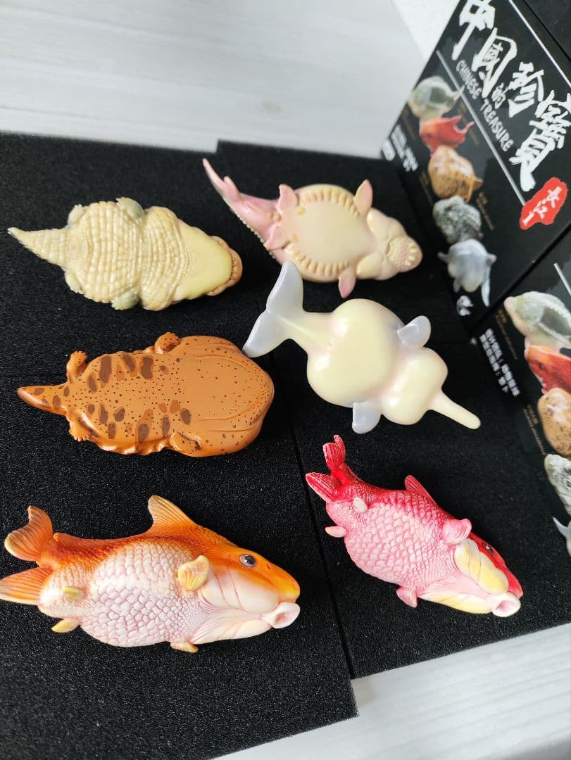 【動物の惑星】スーパーレア★第6弾/長江第1弾/ホウシャガメ!! フィギュア