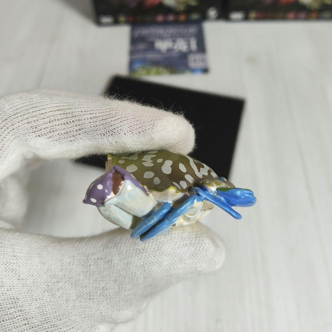 【動物の惑星】スーパーレア★第6弾/長江第1弾/ホウシャガメ!! フィギュア