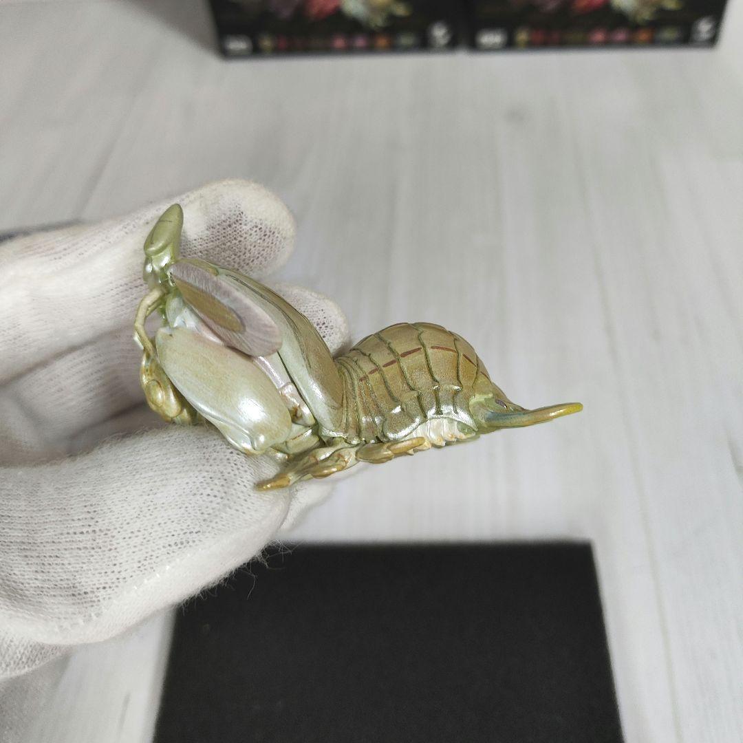 【動物の惑星】スーパーレア★第6弾/長江第1弾/ホウシャガメ!! フィギュア