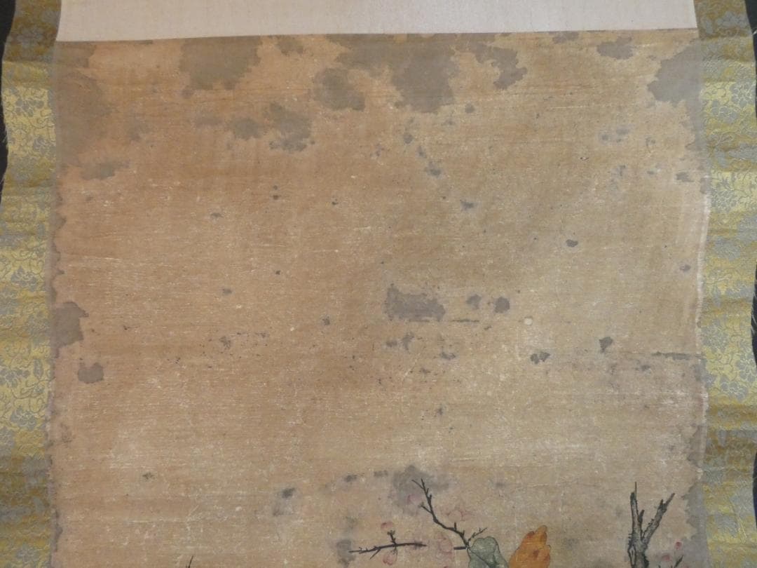 掛け軸 美品 【 野口小頻 】 花鳥　掛け軸　箱無し 紙本