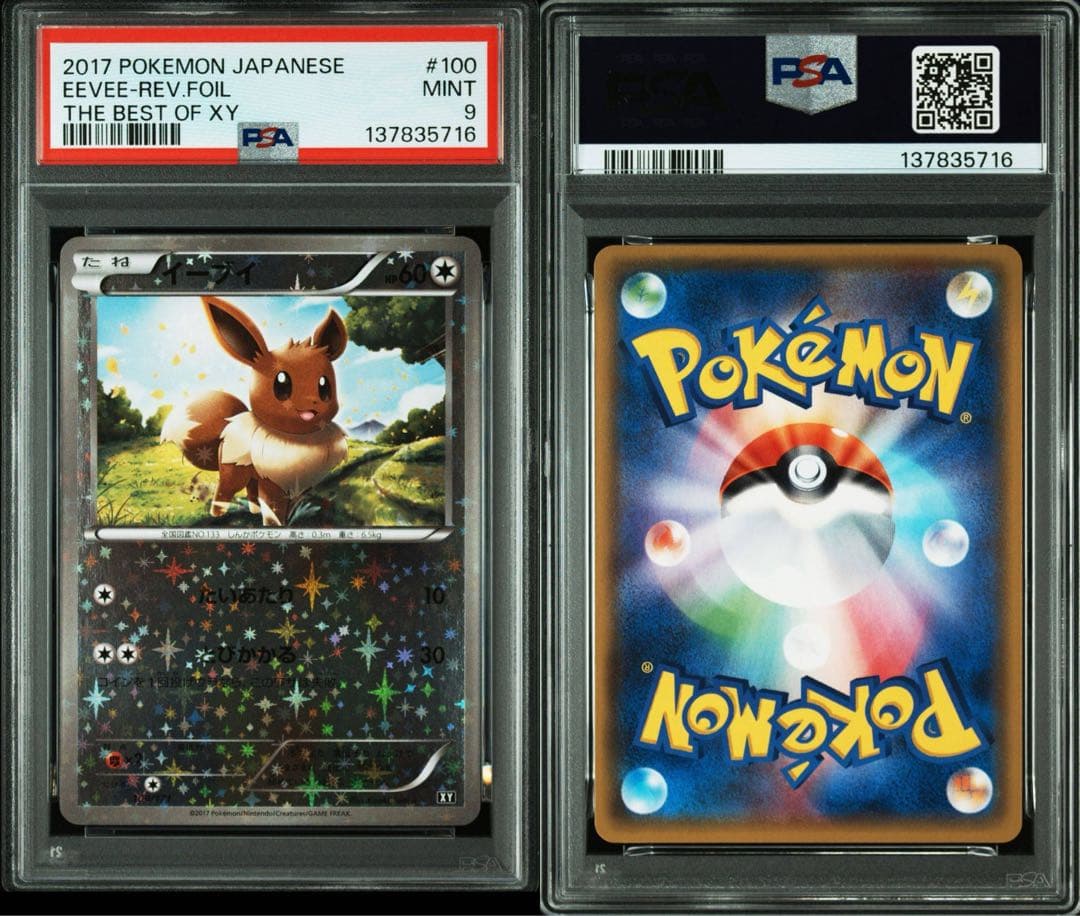 イーブイ ブースター シャワーズ　サンダース XY ミラーPSA10 連番