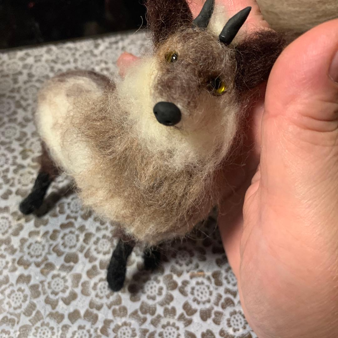 カンタロウ　羊毛フェルト