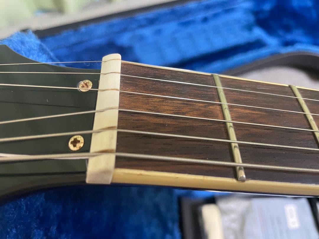 おまけ付きEpiphone Riviera Custom P93 355p90