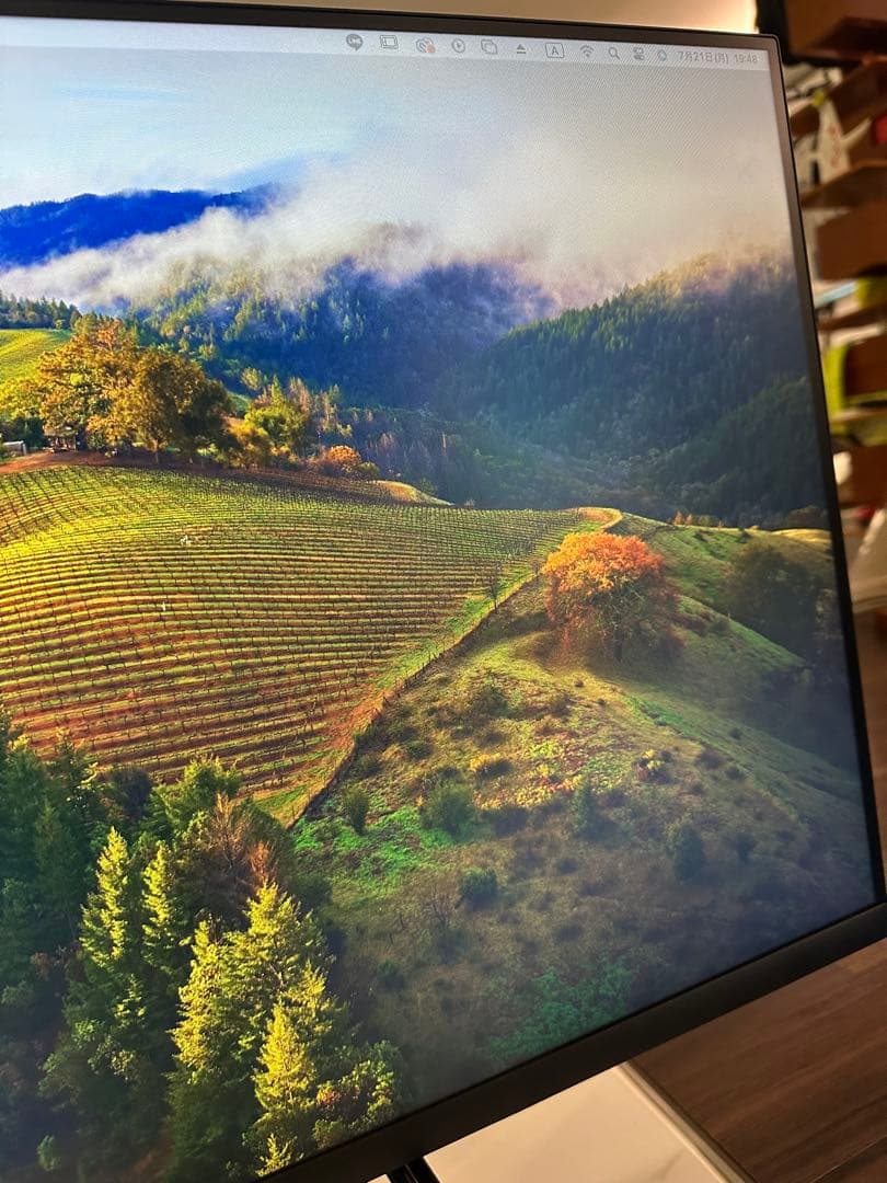 DELL 27インチ　ディスプレイモニター 本体