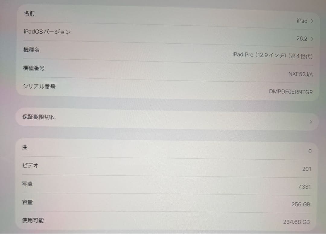 iPad Pro 第4世代 12.9インチ256GB Cellularモデル