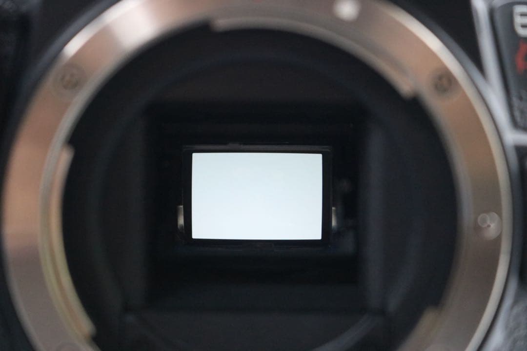 ボディ新品級 【Canon EOS Kiss X8i ダブルレンズセット】