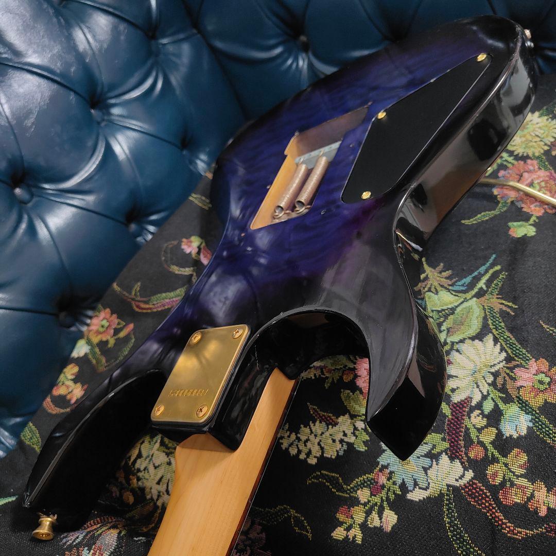 FERNANDES フェルナンデス FGZ400 エレキギター レアカラー