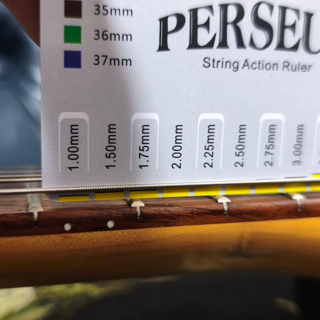 FERNANDES フェルナンデス FGZ400 エレキギター レアカラー