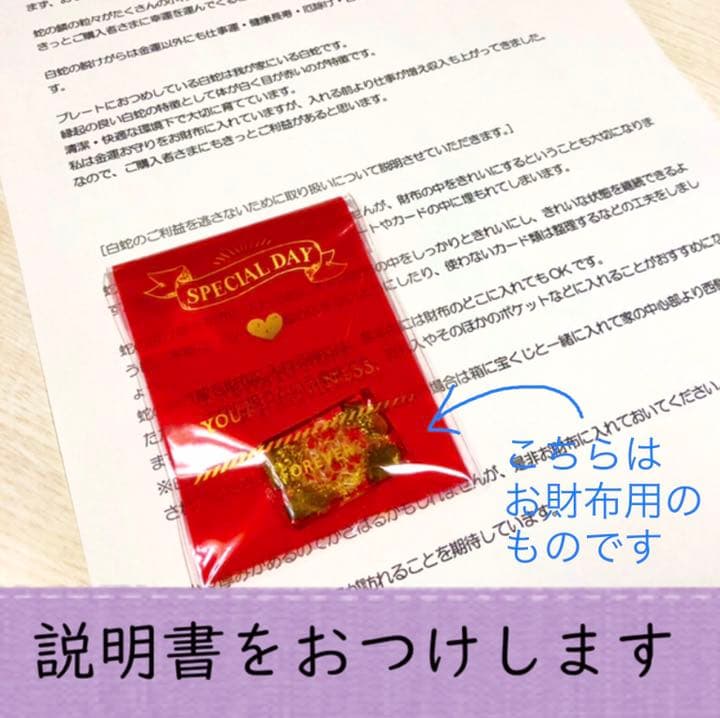 白蛇抜け殻入り＊プレミアムオルゴナイト＊ラピスラズリ&シトリン(金箔入)