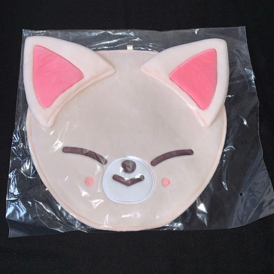 straykids アイエン　公式うちわ.ケース　15点セット売り