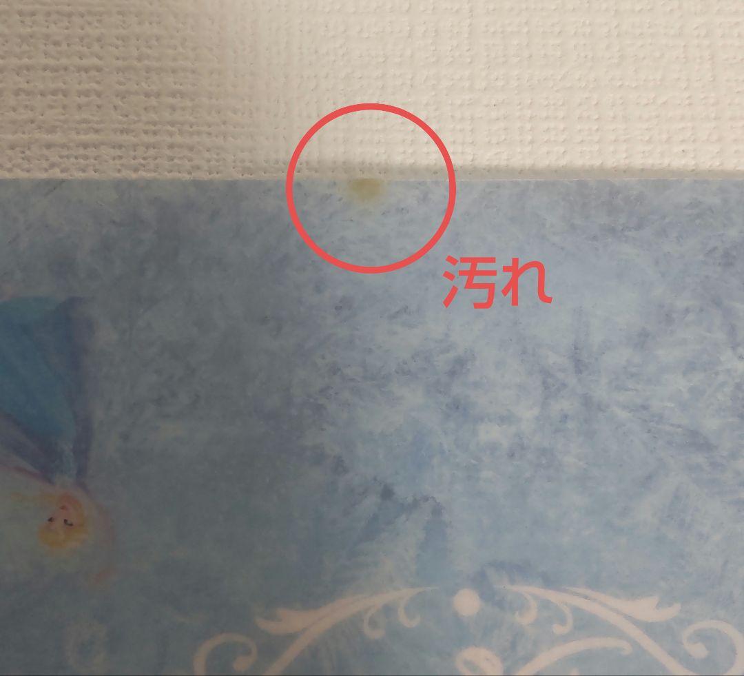 FROZEN SPECIAL BOX　アナと雪の女王　魂ウェブ商店限定品