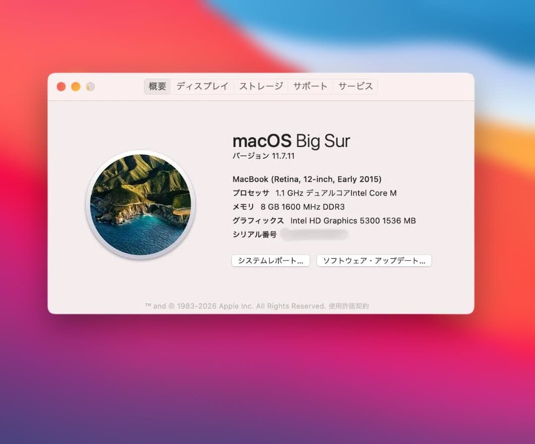 P94) MacBook 12 Core M 8G 256G ジャンク