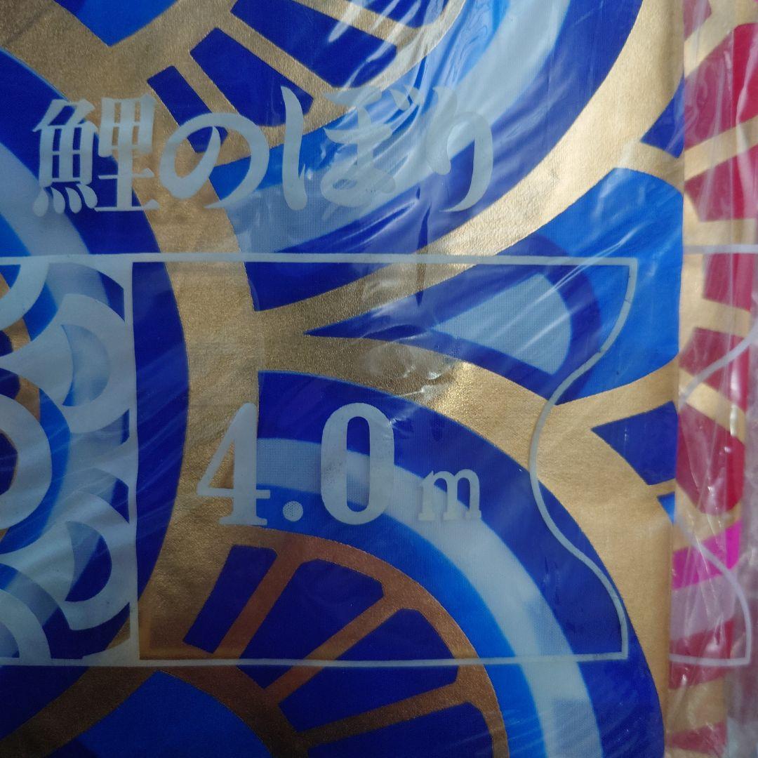 きまぐれ　フジサン鯉のぼり6mセット