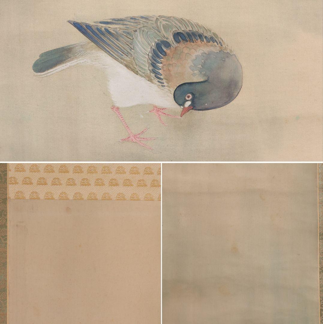 【真作】日本画 山科杏亭 花鳥図 絹本 双幅 掛軸 共箱 鳩 翡翠 MB273