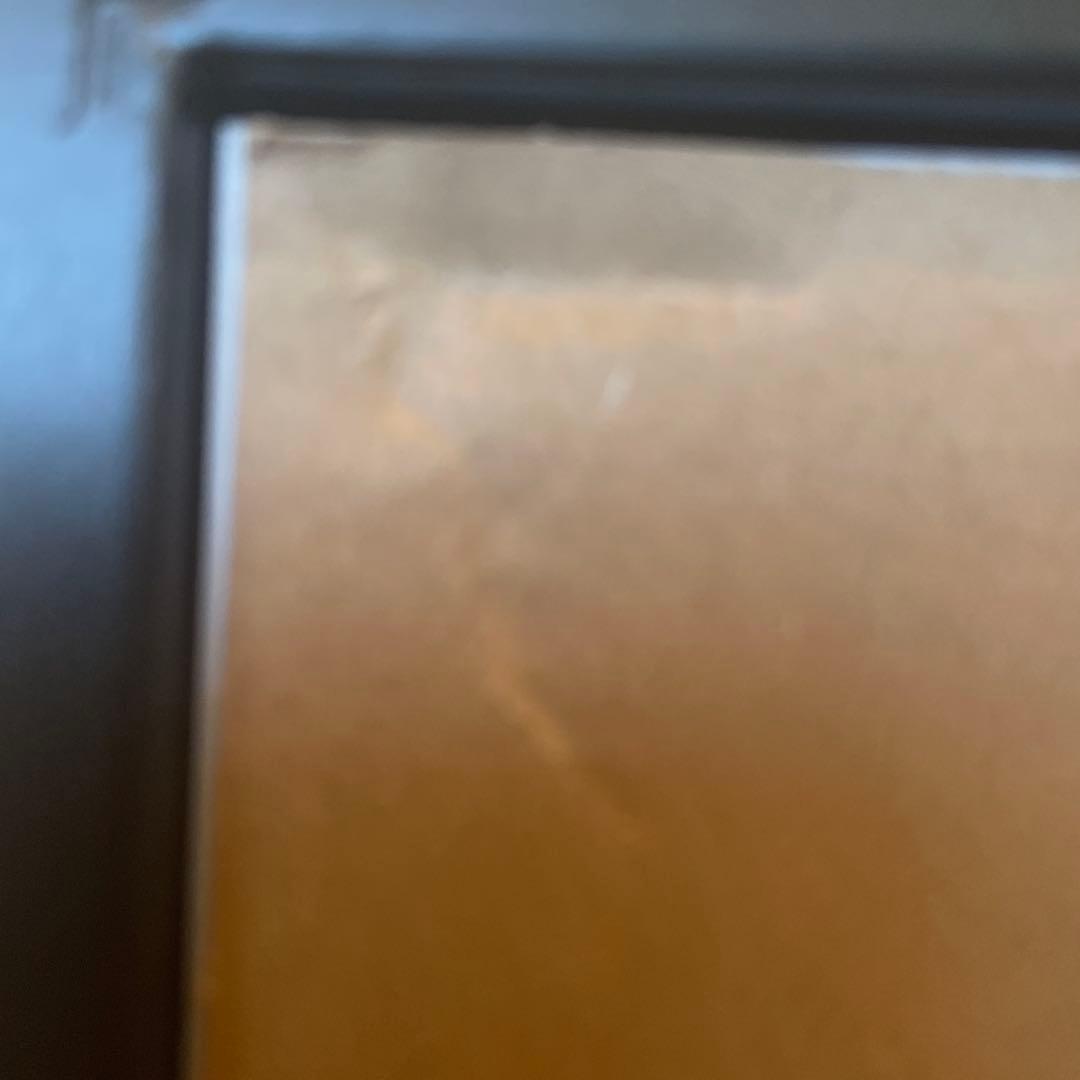 キマワリキャンバスアート、ピカチュウ、カビゴン、プリント　ゴッホ